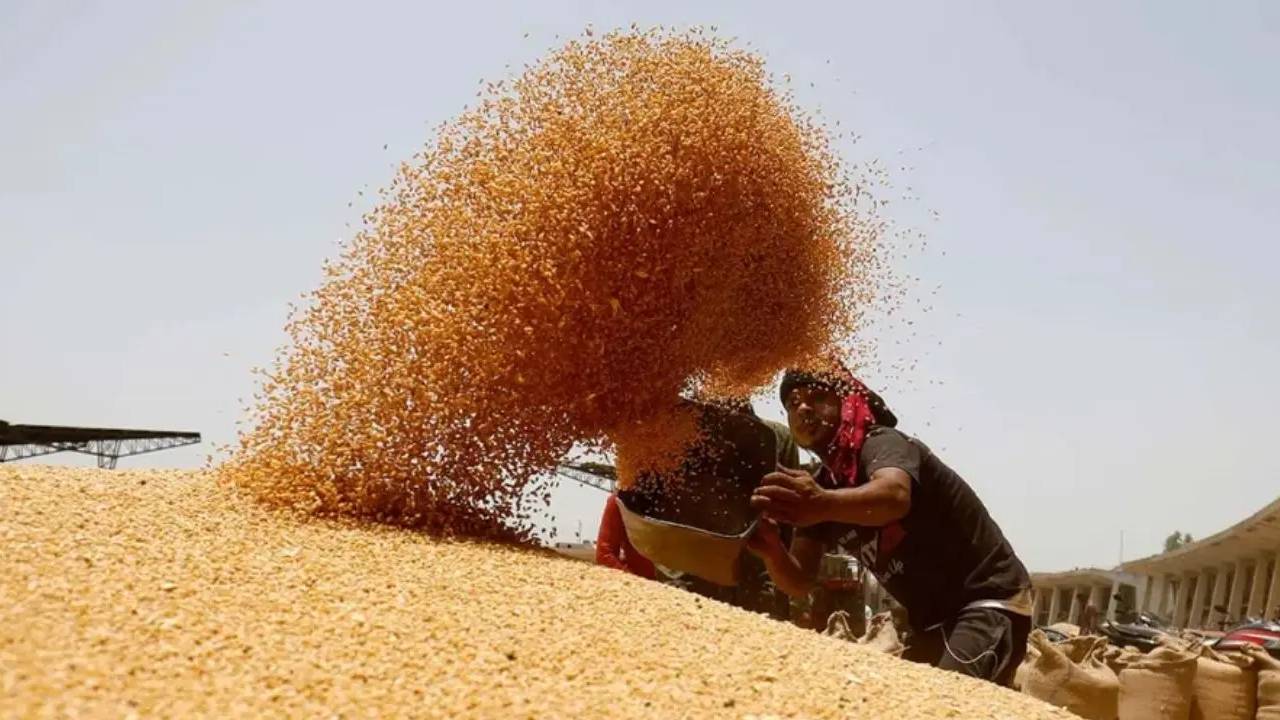 India Rice Procurement 50 Million Tonnes Record Stock Up Mp Surge Ethanol Use Government Buffer 2026
