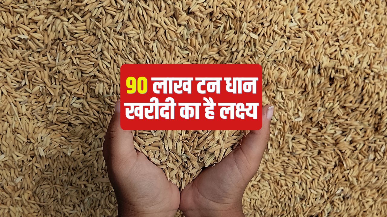 Telangana Paddy Procured Over 8 Lakh Tonnes Paddy Procured In Telangana