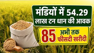46 लाख टन के पार पहुंचा धान खरीद का आंकड़ा, किसानों को मिले 7841 करोड़ रुपये 46 लाख टन के पार पहुंचा धान खरीद का आंकड़ा, किसानों को मिले 7841 करोड़ रुपये