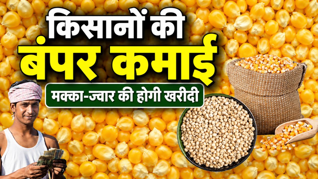 Telangana News Poor People Receive Subsidized Maize And Sorghum