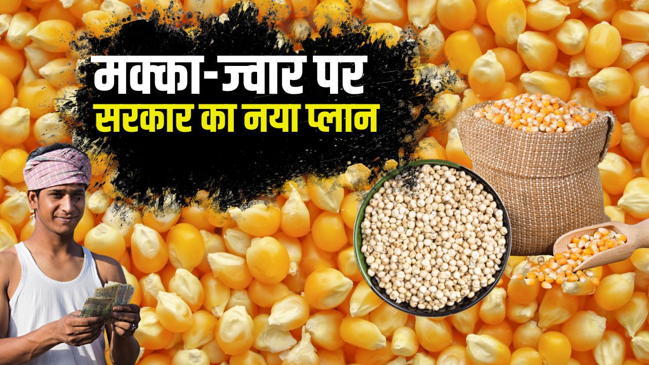 Telangana News Poor People Receive Subsidized Maize And Sorghum