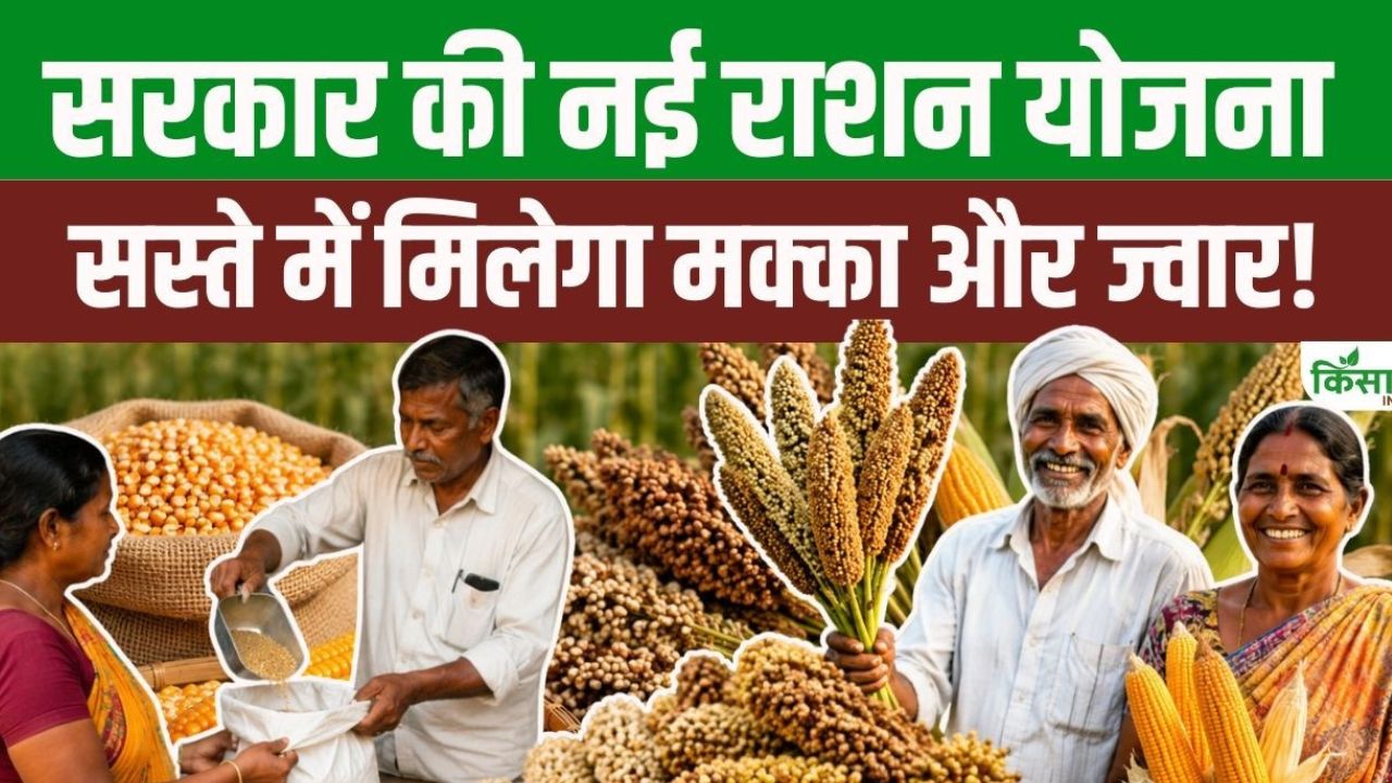 Telangana Government New Initiative Maize And Sorghum Will Be Available At Cheap Rates In Ration Shops