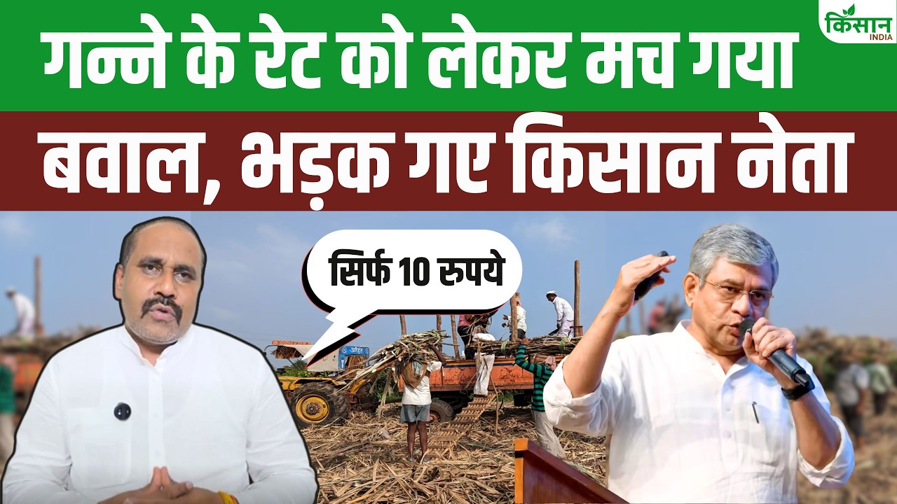Sugarcane Price Hike Dharmendra Malik Outraged After Sugarcane Frp Find Out What He Said To The Farmers