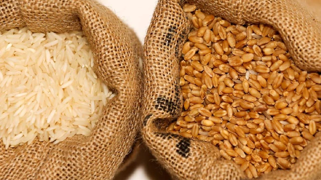 India Foodgrain Stock 2026 Fci Wheat Rice Buffer Stock Msp Rabi Crop Procurement Farmers