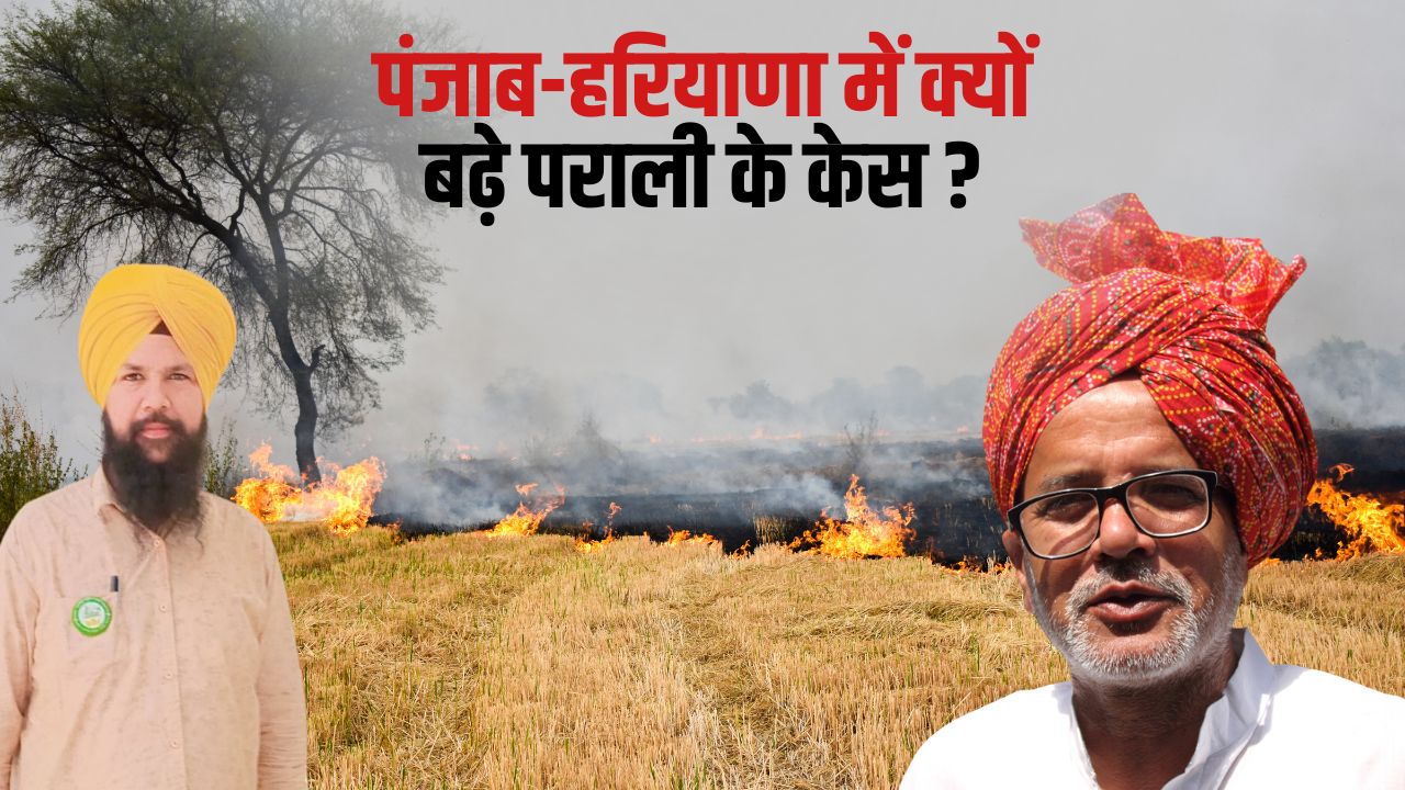 Stubble Burning Punjab Surpasses Haryana In Stubble Burning