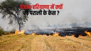 पराली जलाने में हरियाणा से आगे निकला पंजाब तो किसान नेताओं ने कर डाली बड़ी मांग, एडवाइजरी जारी