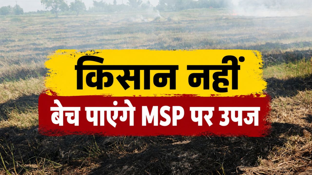 Haryana News 19 Firs Registered In Stubble Burning Cases Haryana Agriculture News