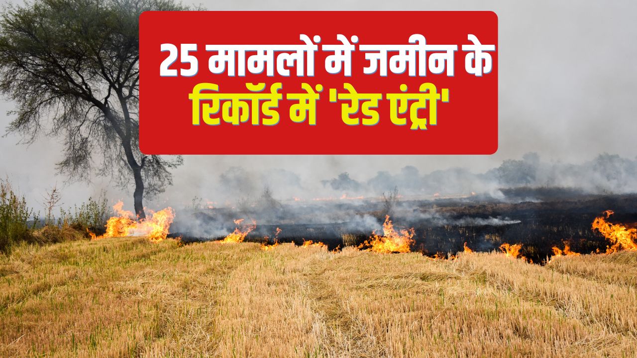 Incidents Stubble Burning Increased In Punjab Haryana 1973 Cases Reported In 72 Hours