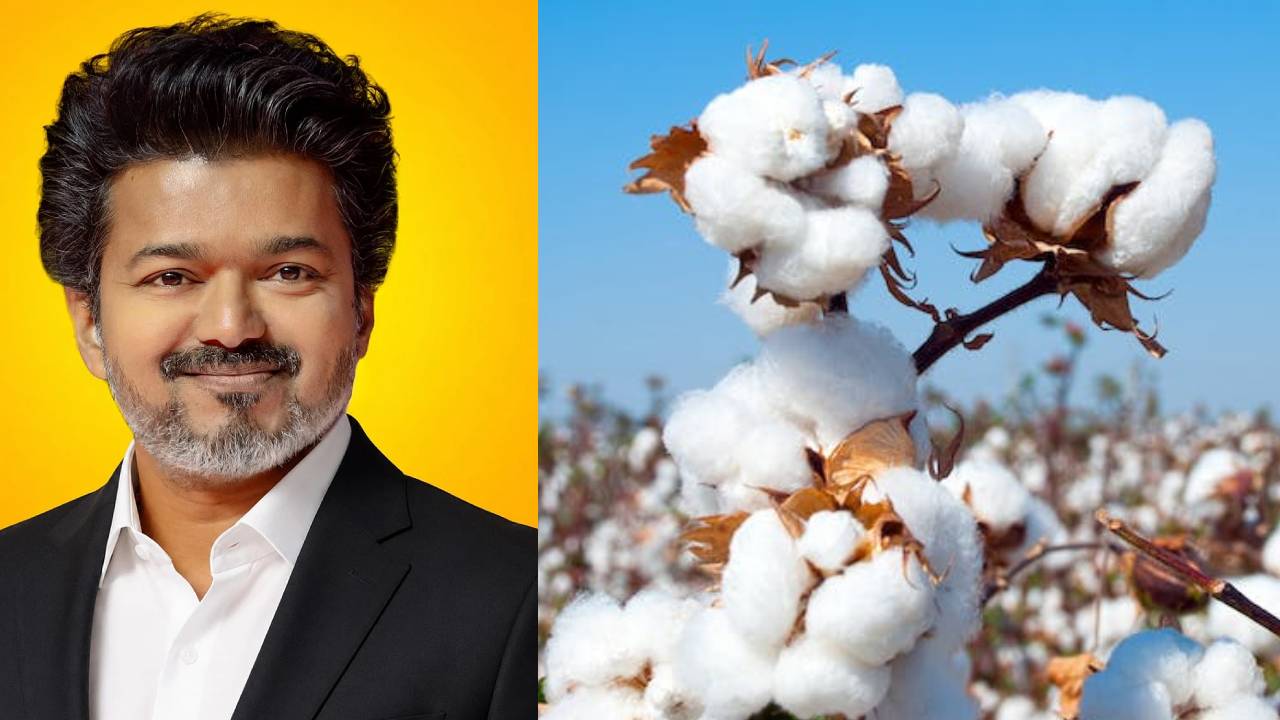 Tamil Nadu Cm Urges Pm Modi To Remove Cotton Import Duty Amid Textile Industry Crisis