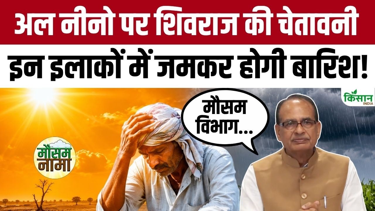 Heavy Rain Alert In Next 24 Hours Shivraj Singh Chouhan Alerts Farmers And People