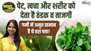 गर्मी में पुदीना बना शरीर का सुपरहीरो, पेट से त्वचा तक देगा जबरदस्त राहत