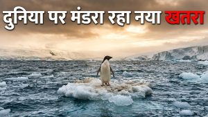 समुद्र उबल रहा है! अल नीनो दिखाने लगा अपना असर… वैज्ञानिकों ने दी बड़ी चेतावनी