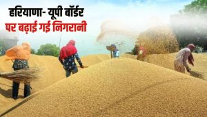 धान के बाद गेहूं घोटाले का शक, 13 आढ़तियों का लाइसेंस सस्पेंड.. जांच के लिए टीम गठित