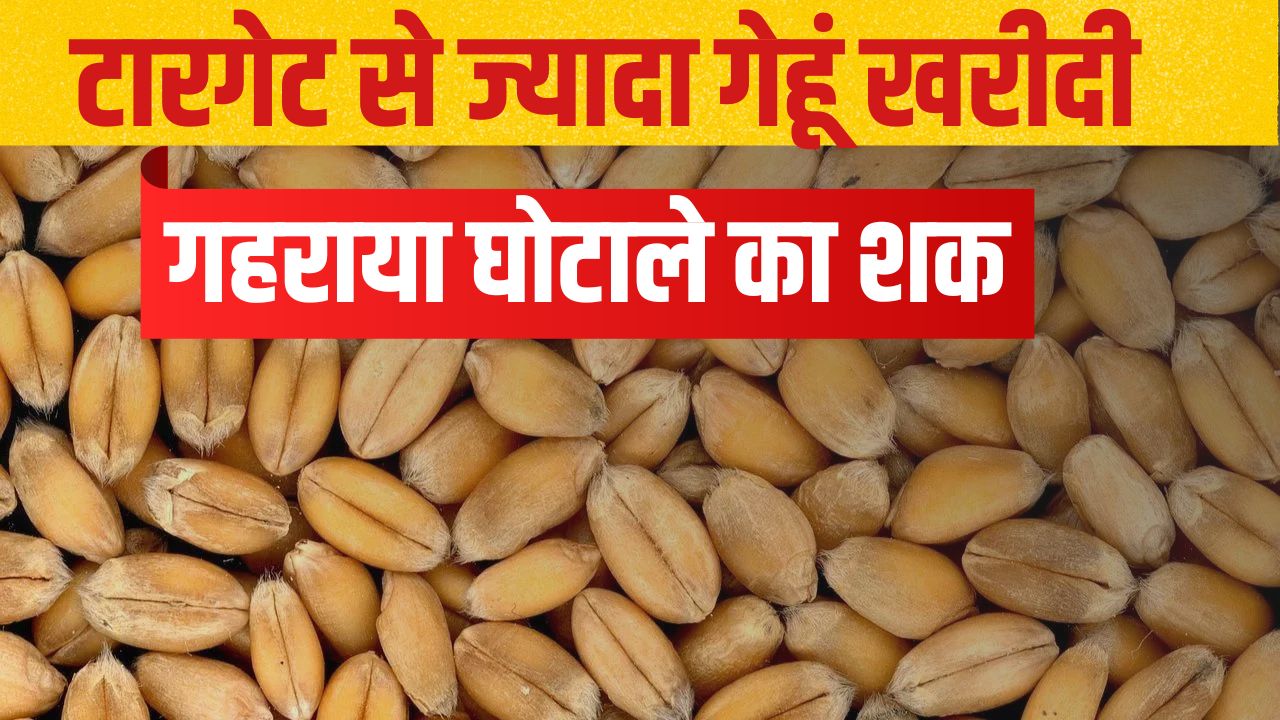 Haryana Wheat Scam Former Principal Scientist Dr Virendra Lather Writes To Pm Modi