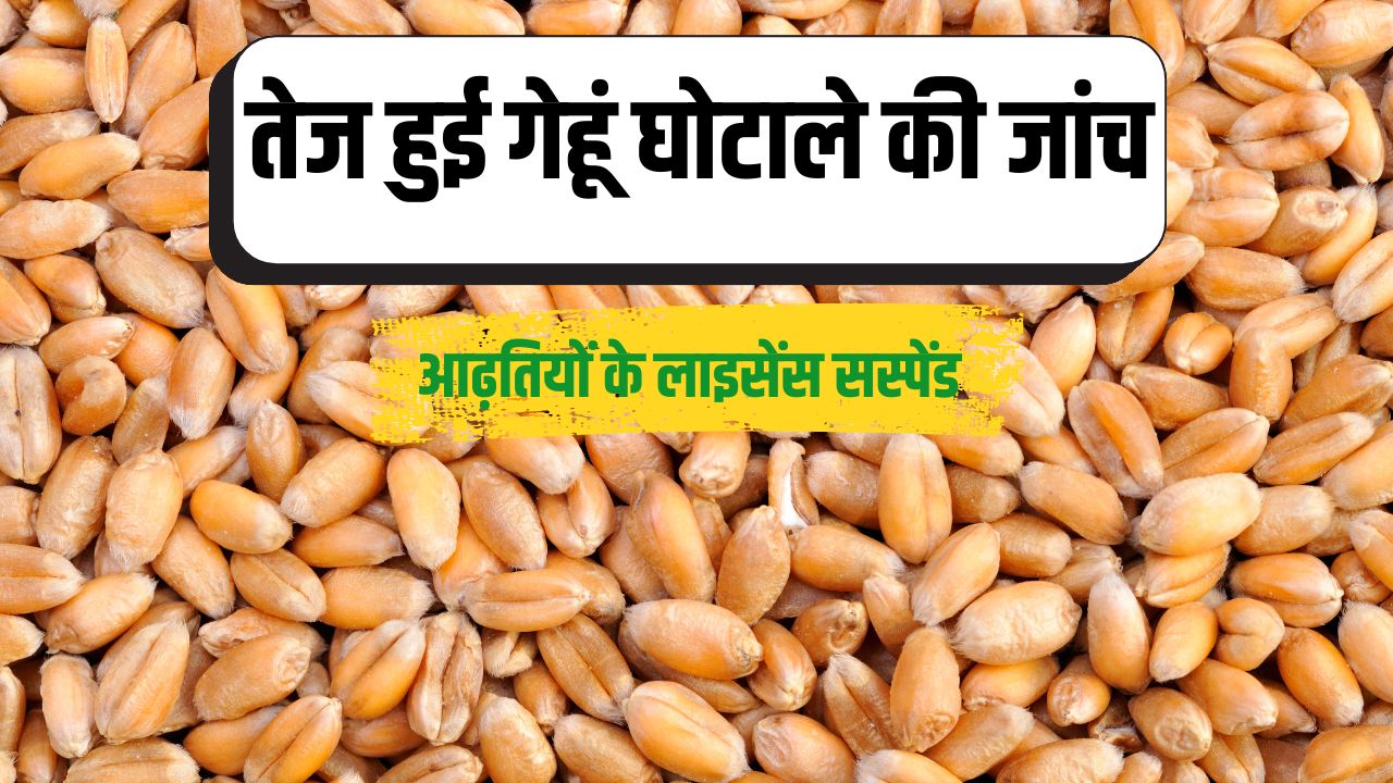 Wheat Procurement Wheat Scam In Karnal Haryana Fir Registered