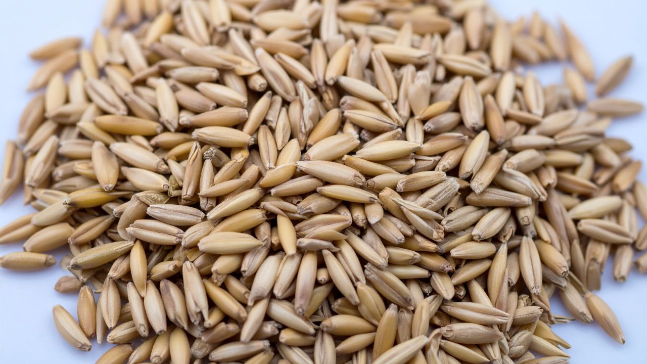 Wheat Storage Management Tips Safe Grain Storage Moisture Control Protection From Insects And Fungus Post Harvest