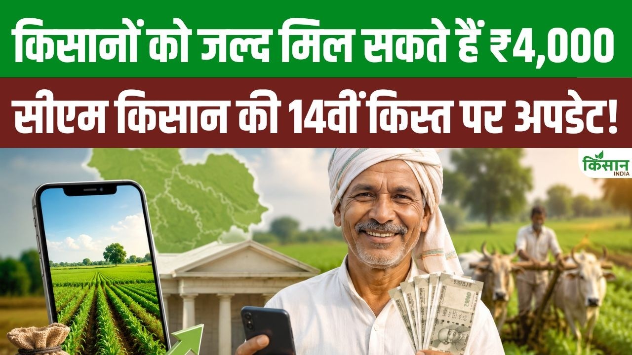 Big Update On 14th Installment Cm Kisan Yojana Rs 4000 May Soon Credited Farmers Accounts
