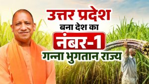 गन्ना किसानों के लिए वरदान बनी योगी सरकार, 3.22 लाख करोड़ रुपये के भुगतान से बना नया रिकॉर्ड गन्ना किसानों के लिए वरदान बनी योगी सरकार, 3.22 लाख करोड़ रुपये के भुगतान से बना नया रिकॉर्ड