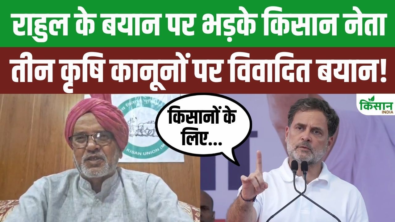 Farmer Leaders Haryana Intensify Protests Against Rahul Gandhi Statement Sparking Controversy Over Msp And Laws