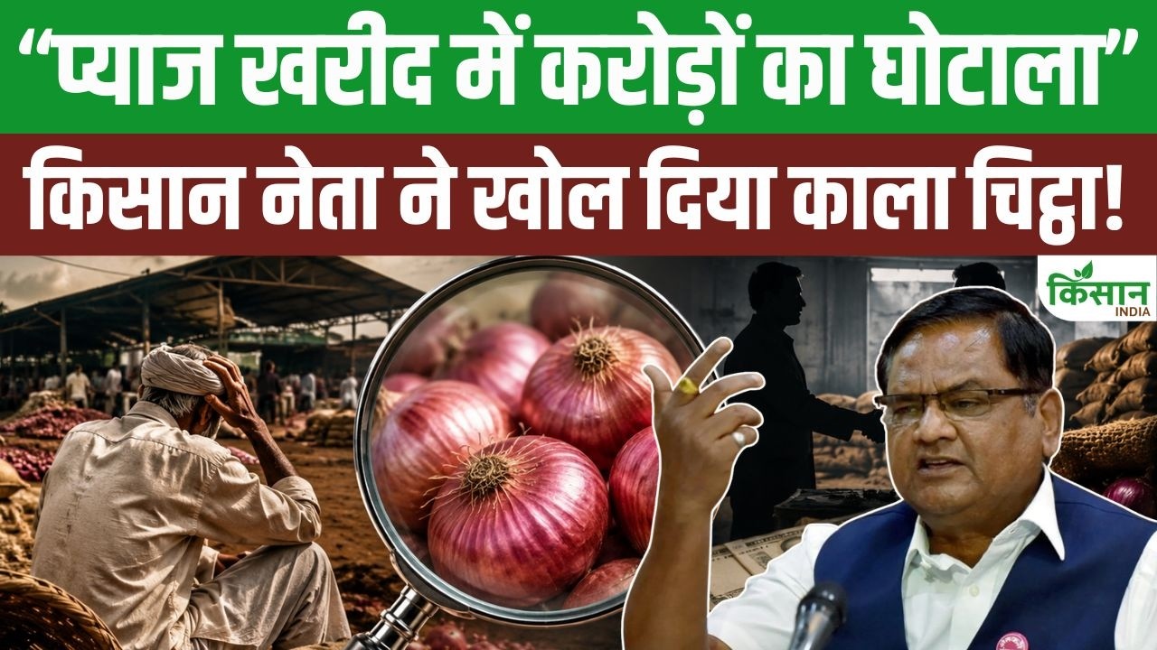 Farmer Leader Alleges Multi Crore Rupee Scam At Nafed In Onion Procurement Case