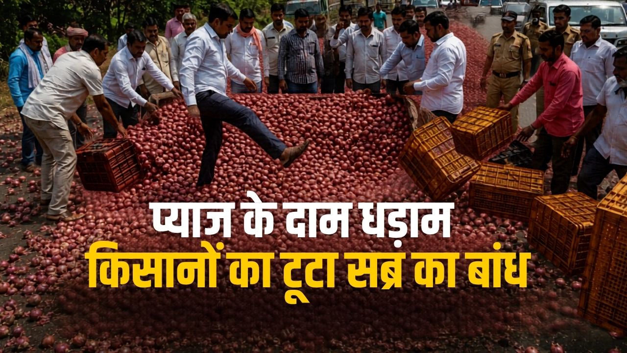 Maharashtra Onion Farmers Protest After Prices Drop To Rs 125 Per Quintal