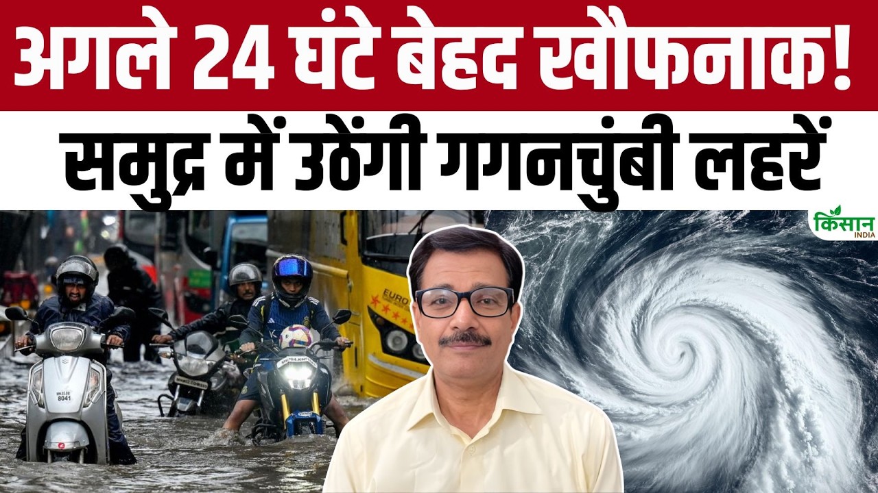 Monsoon Entry In Kerala The Monsoon Grand Arrival Within Next 24 Hours Major Alert Issued By The Meteorological Department
