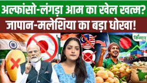 ग्लोबल मैंगो वॉर में भारत को झटका, मलेशिया-जापान ने बदला रुख