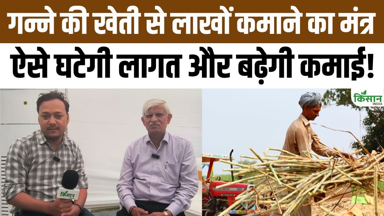 New Formula To Boost Sugarcane Farmers Income Major Revelation By Padma Shri Bakshi Ram Updates On New Varieties