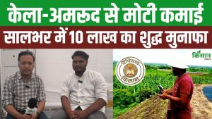 Organic Farming ने बना दिया लखपति किसान, बागवानी से सालाना 10 लाख कमाई! केमिकल छोड़ा, मुनाफा जोड़ा! Organic Farming ने बना दिया लखपति किसान, बागवानी से सालाना 10 लाख कमाई! केमिकल छोड़ा, मुनाफा जोड़ा!