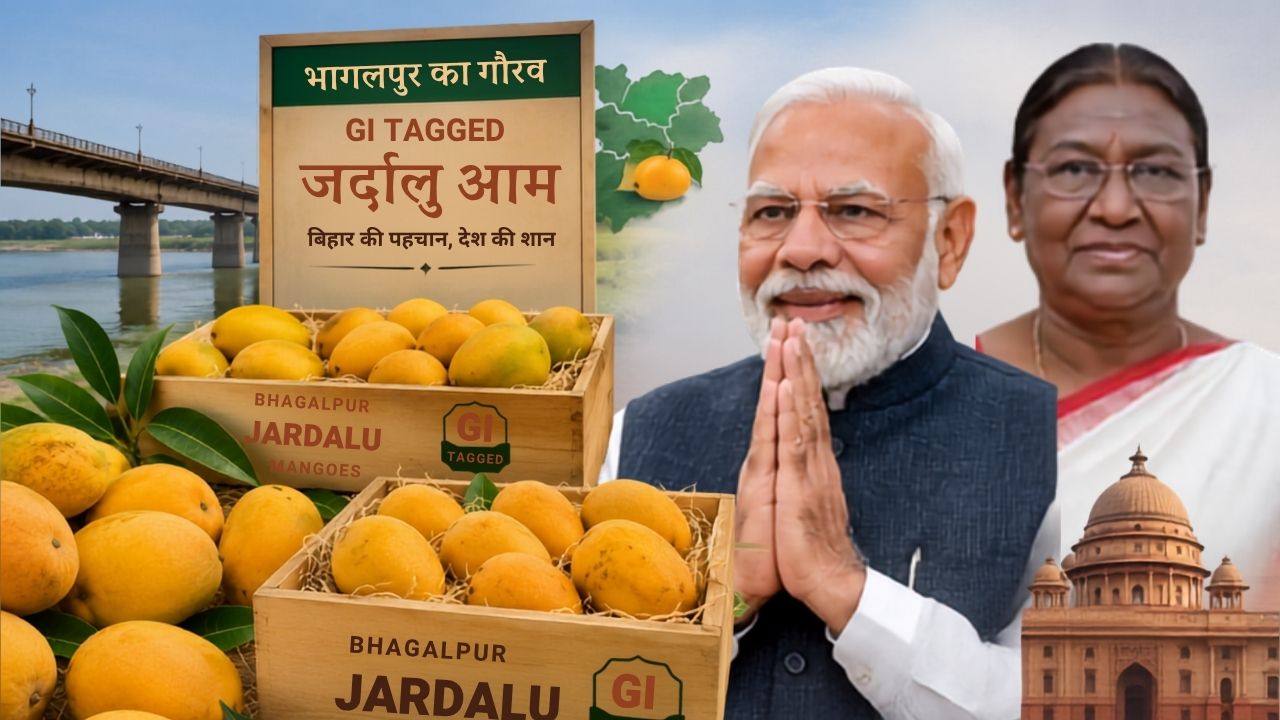 Bhagalpur Jardalu Gi Tagged Mangoes Sent To President Prime Minister Vvip Dignitaries Bihar Mango