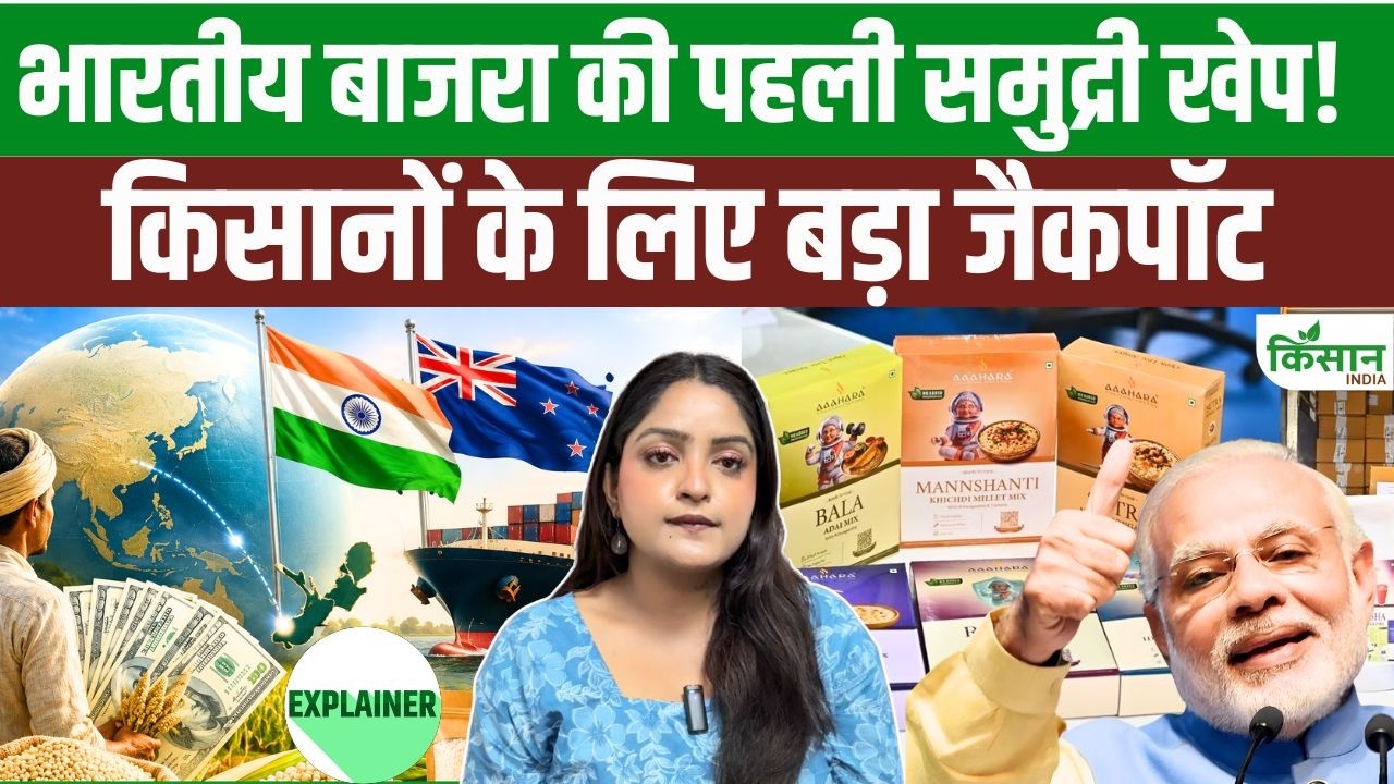 Indian Millet Reaches New Zealand By Sea For First Time Opening Up New Earning Opportunities For Farmers