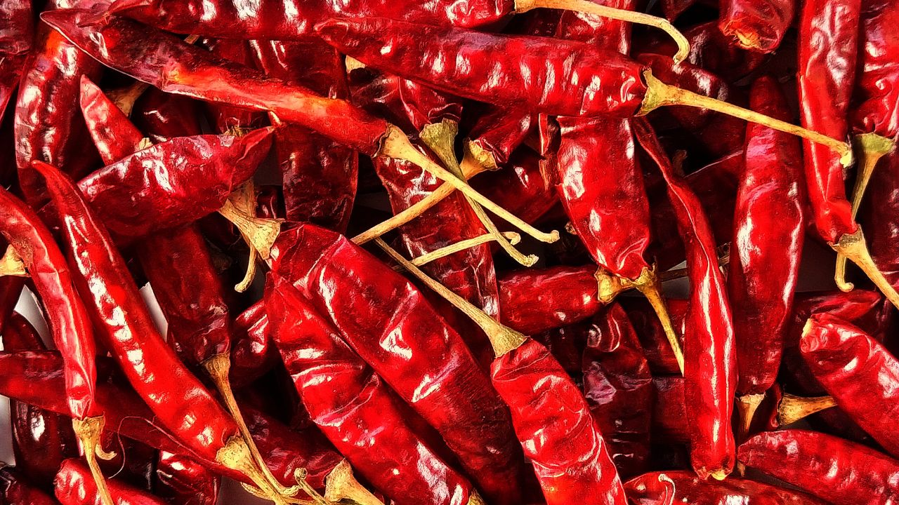 Kharif 2026 Chilli Farming Area May Increase Upto 30 Percent On Strong Prices As Farmers Return To Cultivation