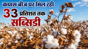 Cotton Farming: कपास किसानों को बड़ी राहत, सरकार ने 15 दिन के लिए बढ़ाई पंजीकरण अवधि