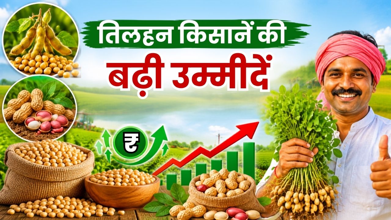 Soybean Groundnut Prices Rise Before Kharif Season Farmers Expect Higher Profit
