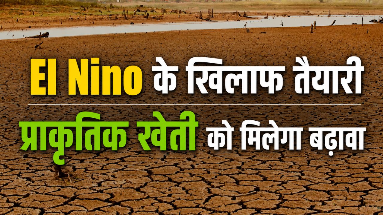Cm Chandrababu Naidu Directedprepare Action Plan To Deal Challenges Of El Nino
