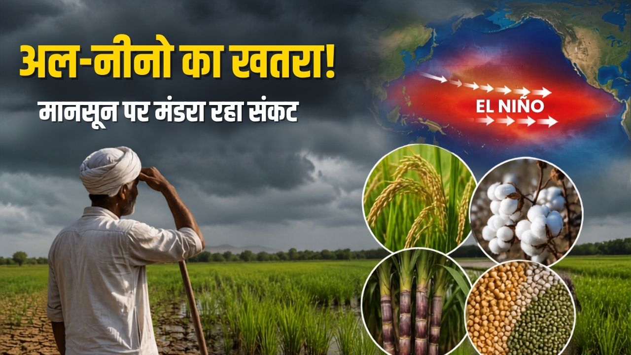 El Nino Impact On Indian Monsoon 2026 Know Which Kharif Crops Will Be Affected Most