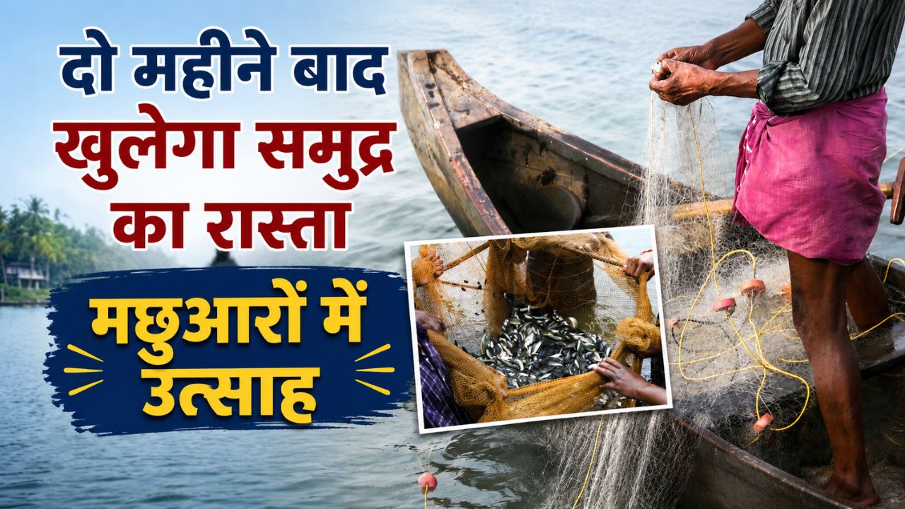 Fishing Resumes In Andhra Pradesh From 15 June 61 Day Fishing Ban End