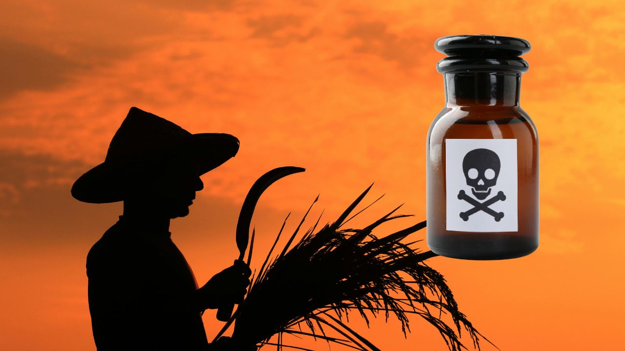 Odisha Paddy Procurement Farmer Commits Suicide By Consuming Poison