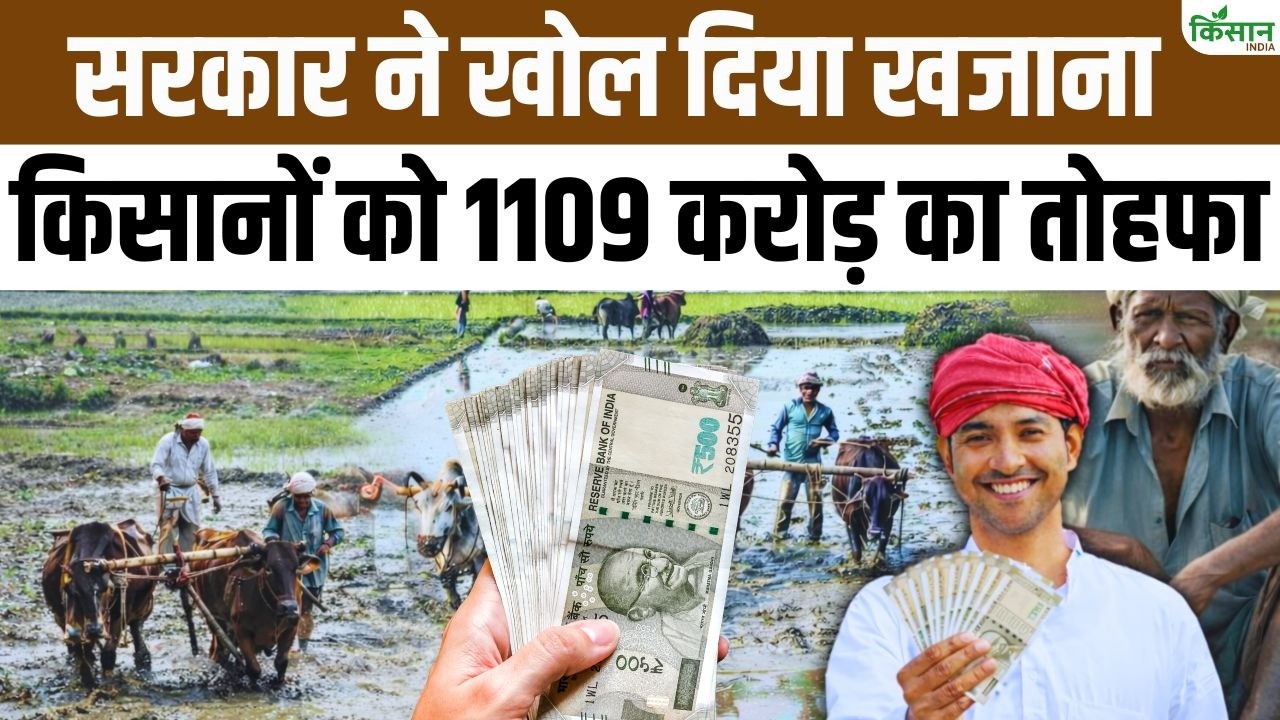 Cm Hemant Soren Major Decision 23 Proposals Approved Cabinet Farmers And Youth Likely Get Relief