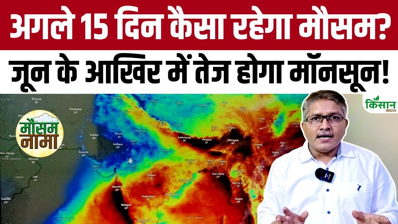 Weather Conditions Set Change In Final Days Of June Heavy Rainfall Likely In Several States