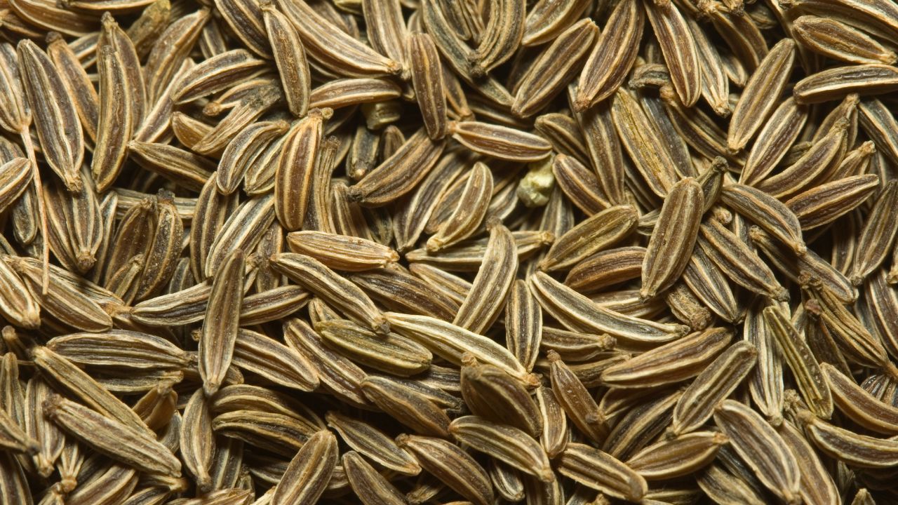 Indian Cumin Export Decline In 2026 Due To China Demand Drop Jeera Market Crisis Spcice Trade Impact