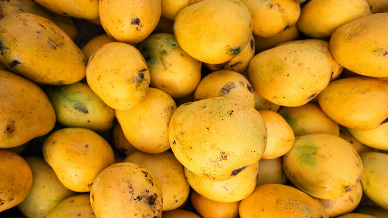 Indian Mango Exports Reach 45 Countries Us Demand Growth Likely To Grow 30 Percent This Season Apeda