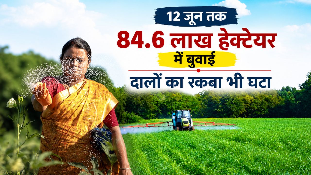 Kharif Crop Sowing Area Declined 3 Percent Know Area Of Paddy Pulses And Oilseeds