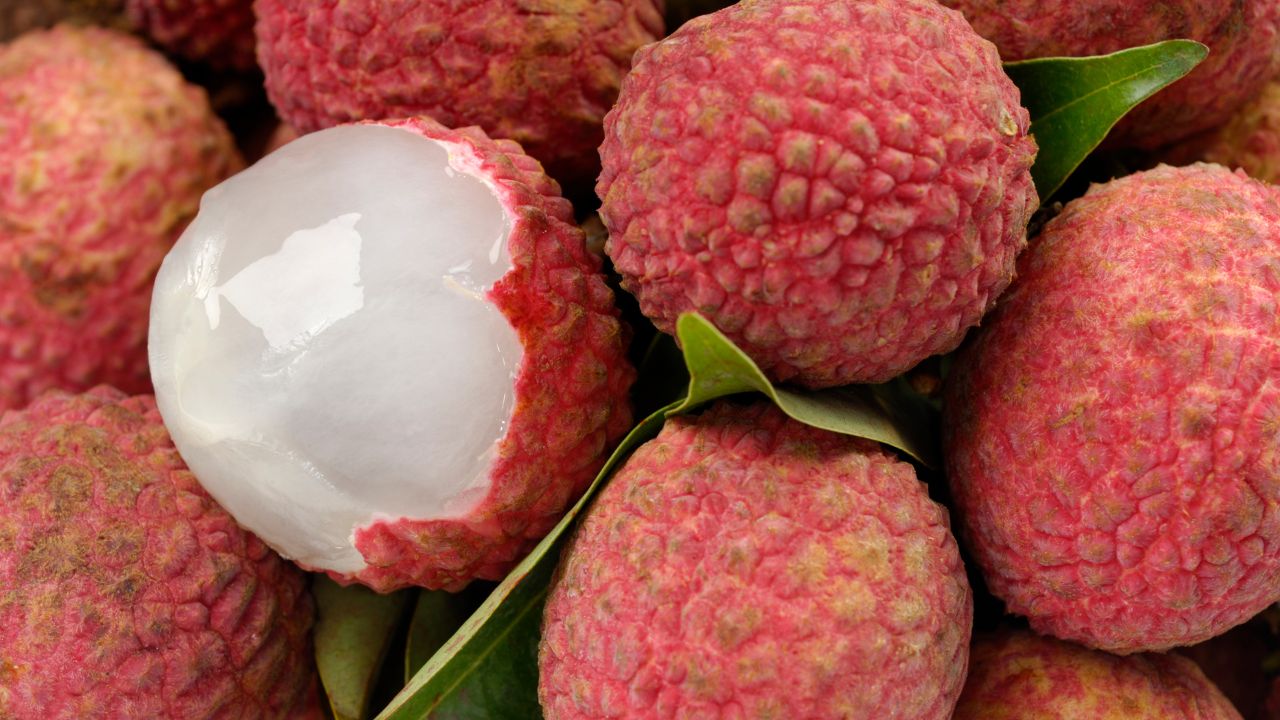 Uttarakhand Famous Dehradun Litchi Export To Europe First Consignment Exported To Italy