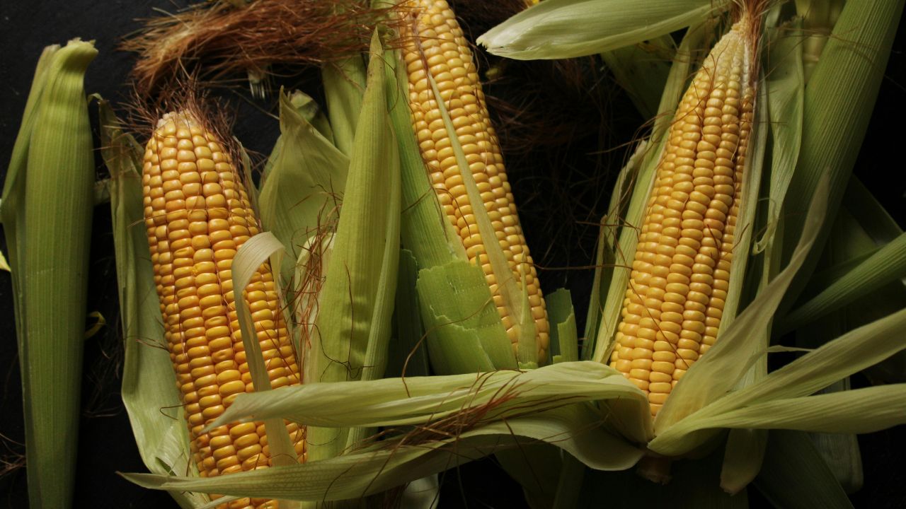 Makke Ki Kheti How To Control Fall Armyworm In Maize Crop Naturally With Neem Oil
