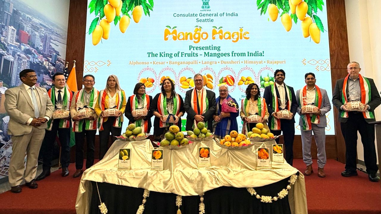 From Alphonso To Kesar Indian Mangoes Showcased At Seattle Event Demand For Fruit Grows In Us
