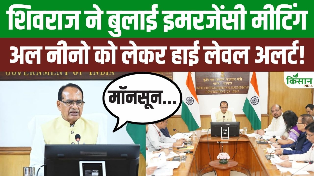 Weather Crisis Farmers Shivraj Singh Chouhan Calls Crucial Emergency Meeting Regarding El Nino