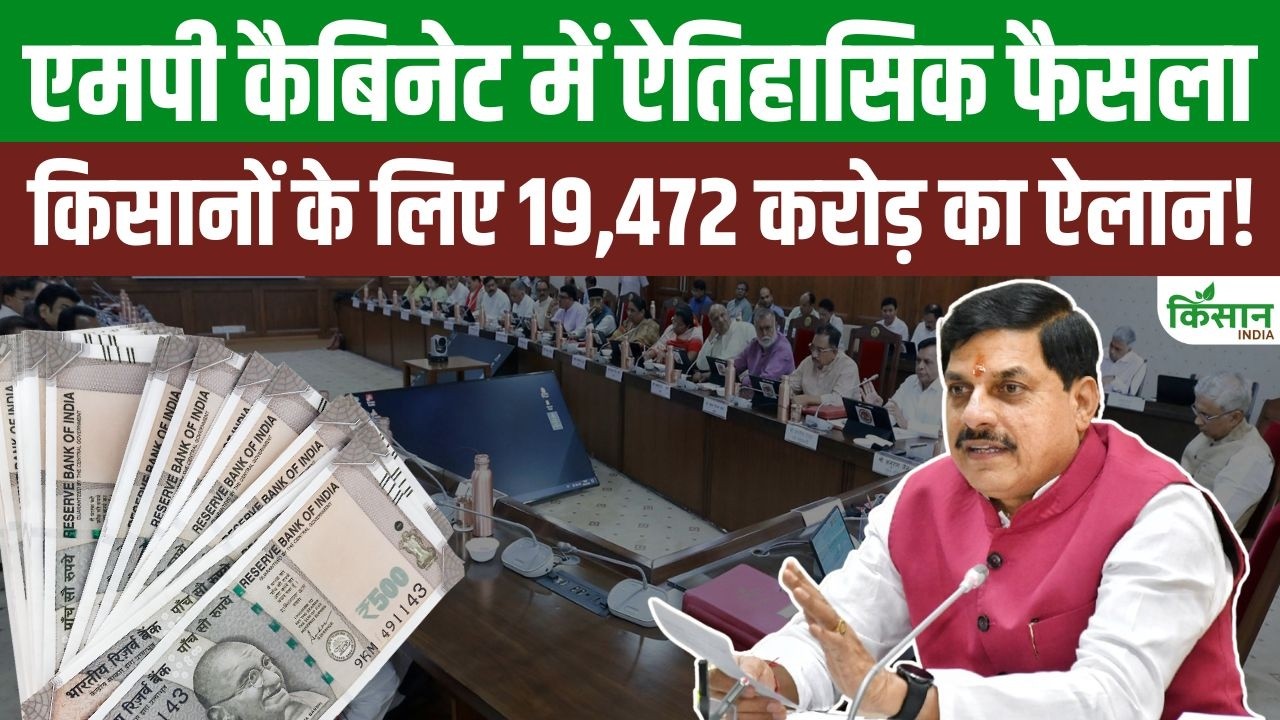 Historic Decisions Taken By The Mp Cabinet Cm Mohan Yadav Gifts A Package Worth Rs 19472 Crore To Farmers Mp News