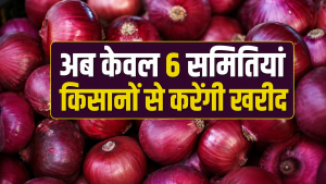 नासिक में प्याज खरीद प्रभावित, NAFED ने 12 समितियों के आईडी किए ब्लॉक.. क्यों हुई कार्रवाई नासिक में प्याज खरीद प्रभावित, NAFED ने 12 समितियों के आईडी किए ब्लॉक.. क्यों हुई कार्रवाई