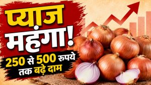रिटेल में महंगा हो सकता है प्याज, नासिक की मंडियों में 40 फीसदी तक बढ़ीं होलसेल कीमतें रिटेल में महंगा हो सकता है प्याज, नासिक की मंडियों में 40 फीसदी तक बढ़ीं होलसेल कीमतें